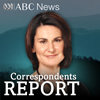 Correspondents Report