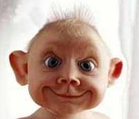 Sigalon's Zeitgeist Soup