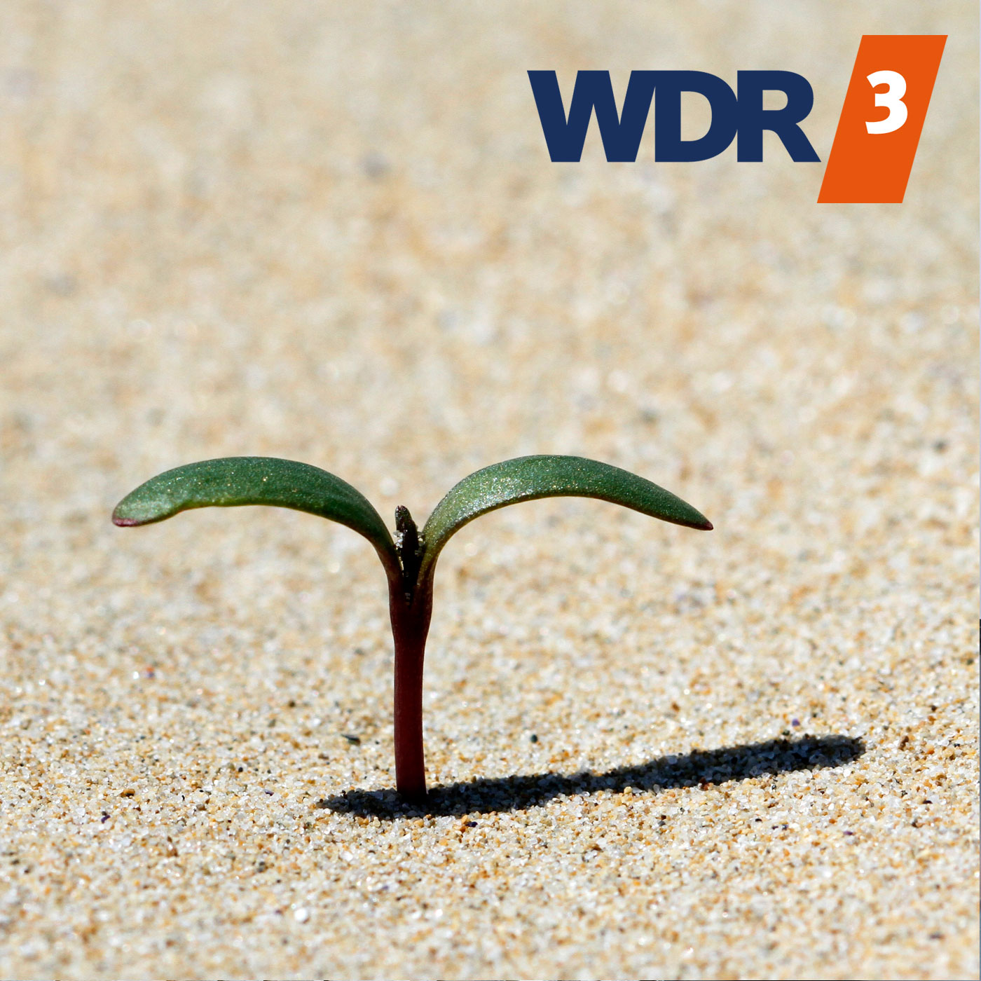WDR Lebenszeichen