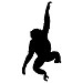 Insider Monkey – Free Hedge Fund and Insider Trading Data