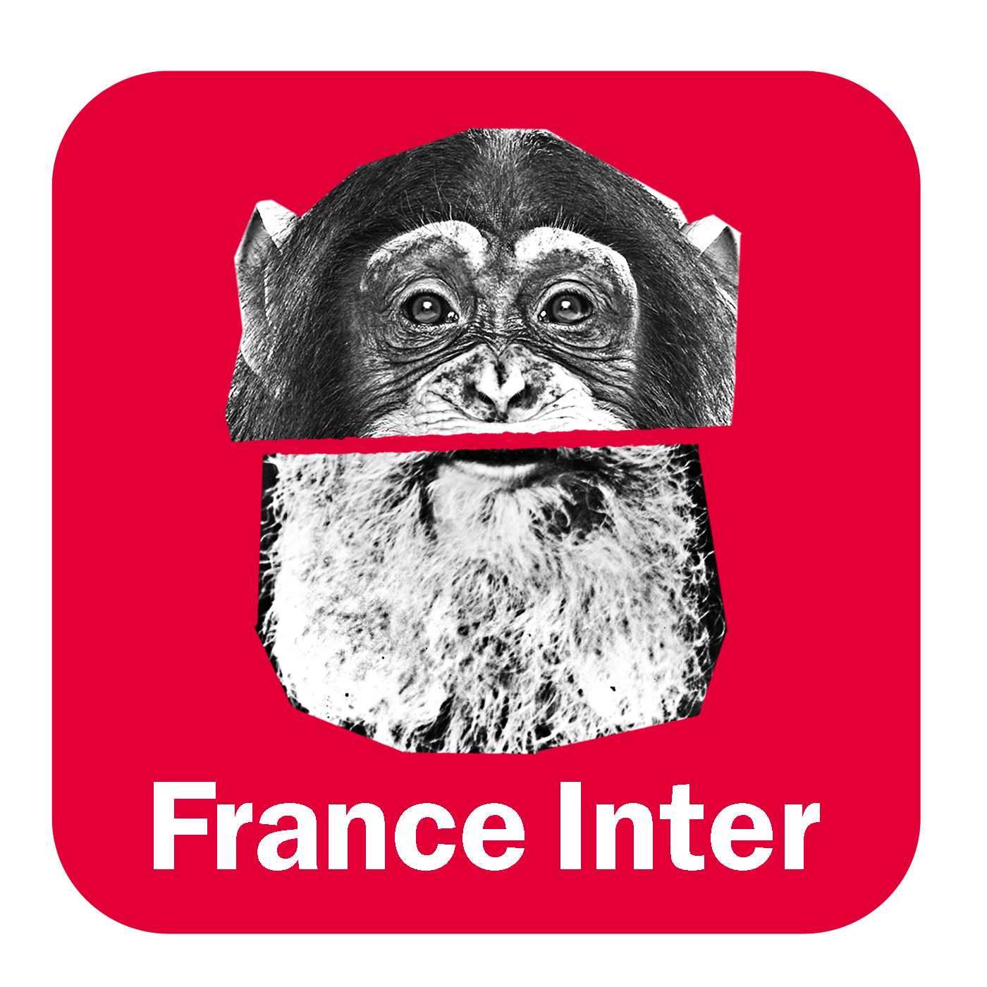 Sur les épaules de Darwin