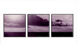 A Softer World