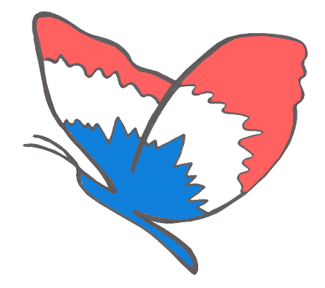 Recente activiteit op www.nederlanders.fr