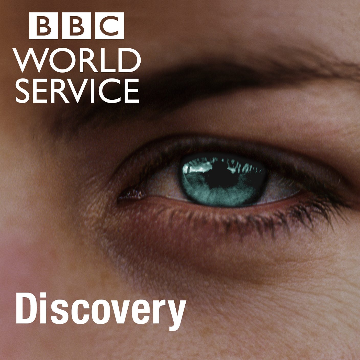 Discovery