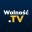 Wolnosc.TV