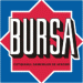 Ziarul BURSA - Piata de capital