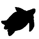 Wider Caribbean Sea Turtle Conservation Network (WIDECAST)