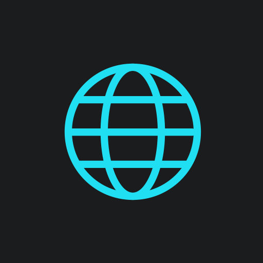 The Internet Protocol